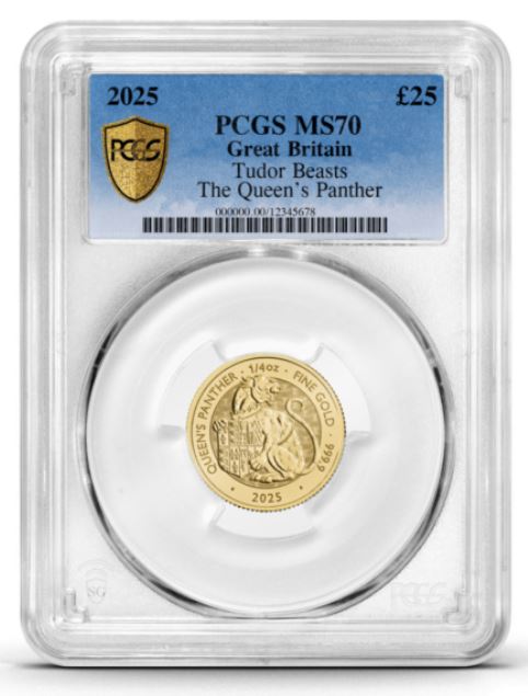 Gold Coin